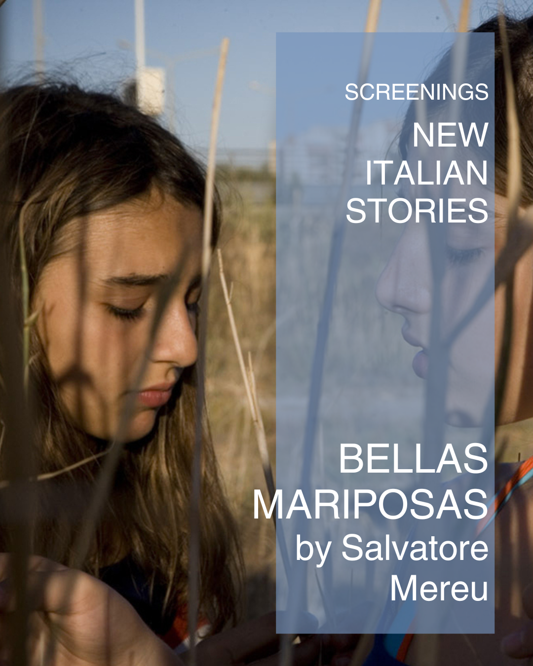 1. New Italian Stories – Bellas Mariposas