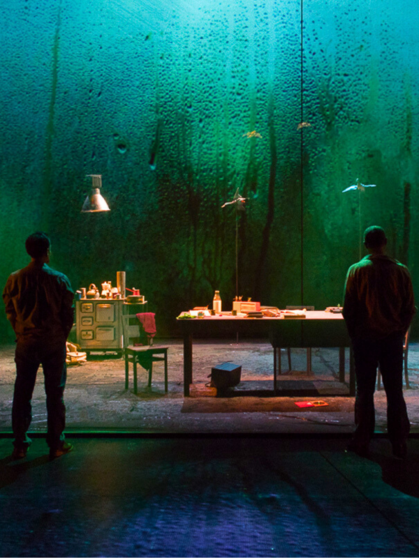 Uccellini-Portrait-600×800