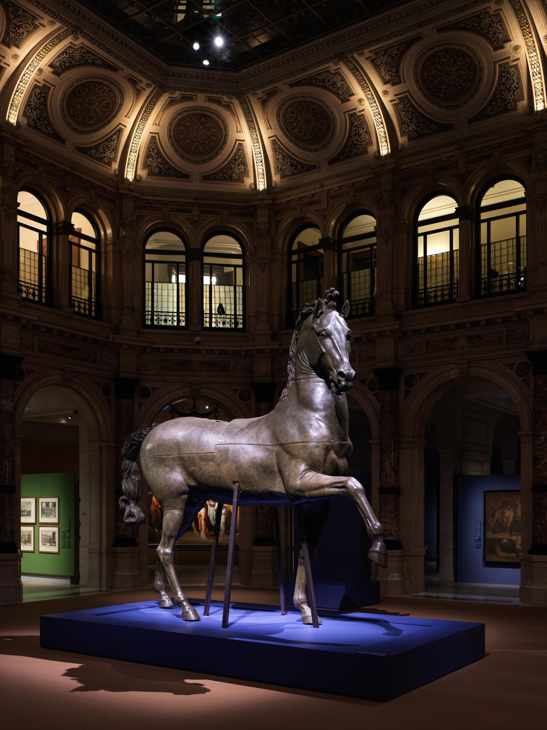 cavallo canova
